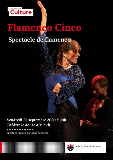 Affiche de Flamenco Cinco