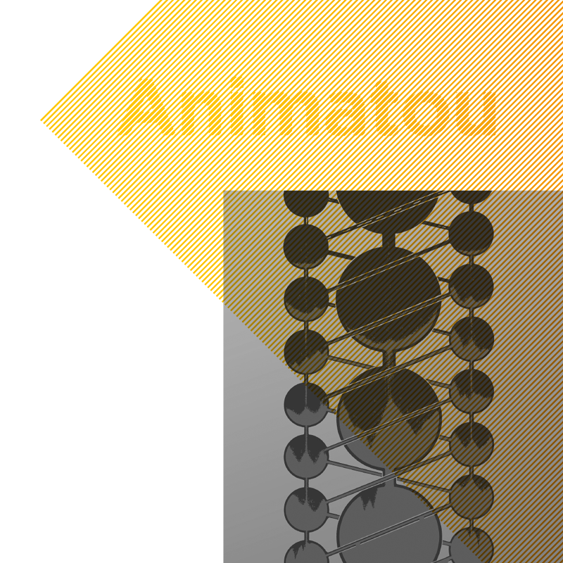Affiche de Animatou - FLOW