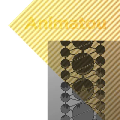 Affiche de Animatou - Les préjugés