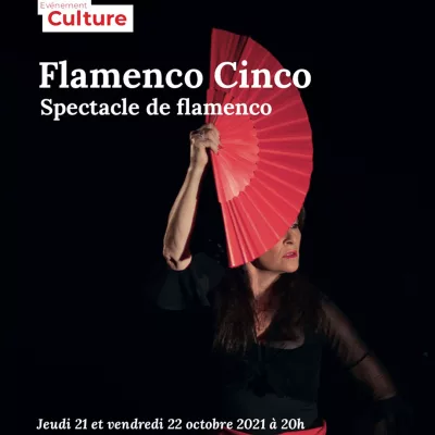 Affiche de Flamenco Cinco